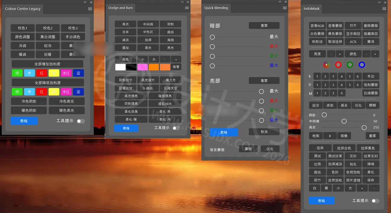Raya Pro 中文汉化版