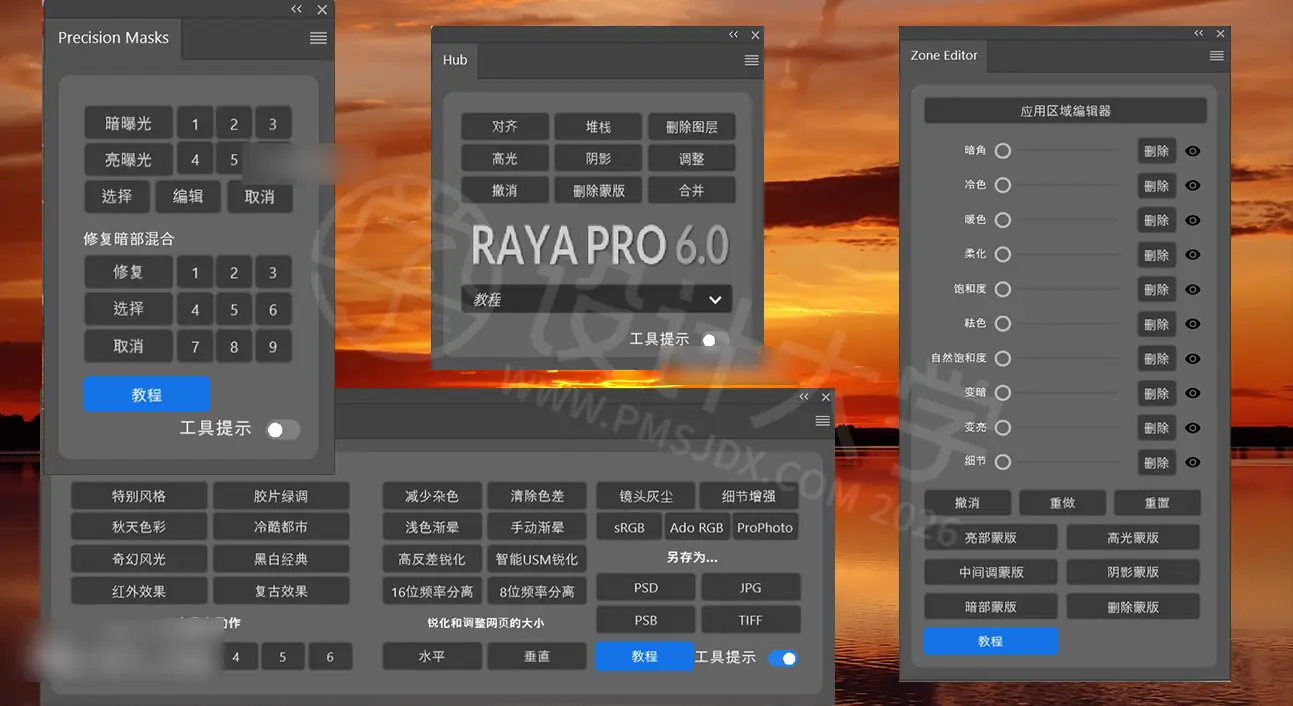 Raya Pro 中文汉化版
