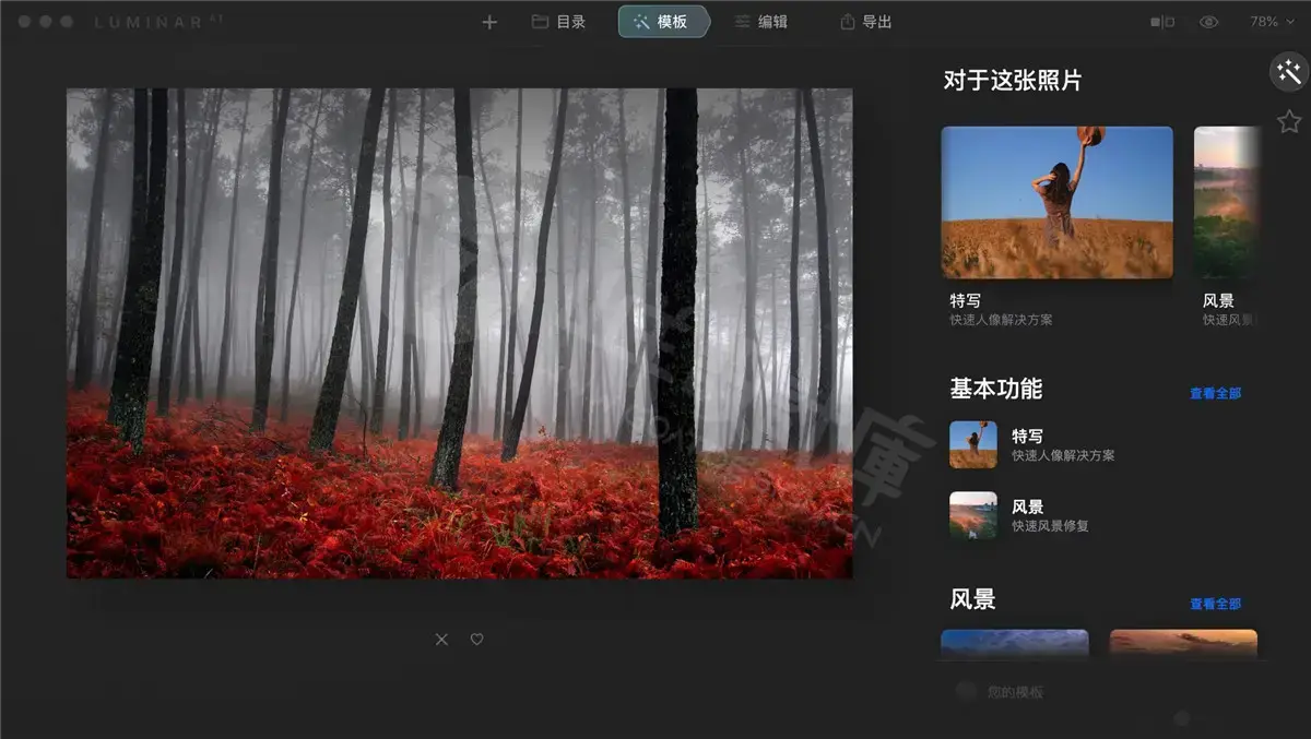 Skylum Luminar AI 1.5.5 最终版