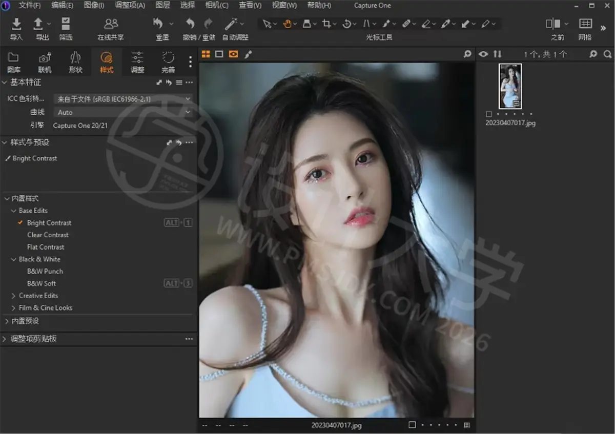 Capture One 简体中文版