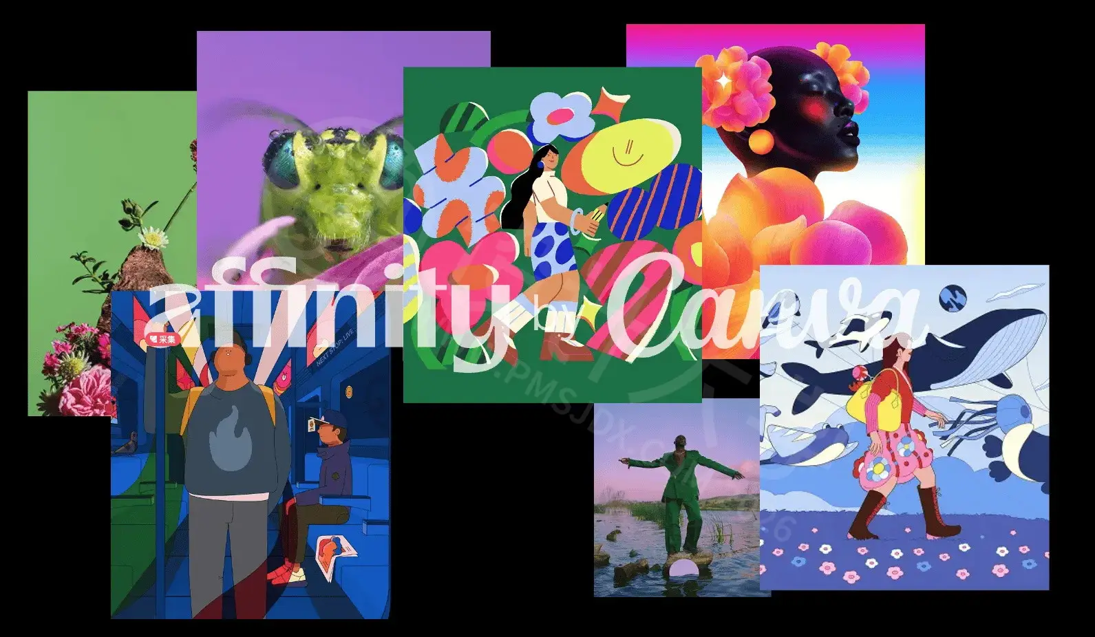 Canva Affinity