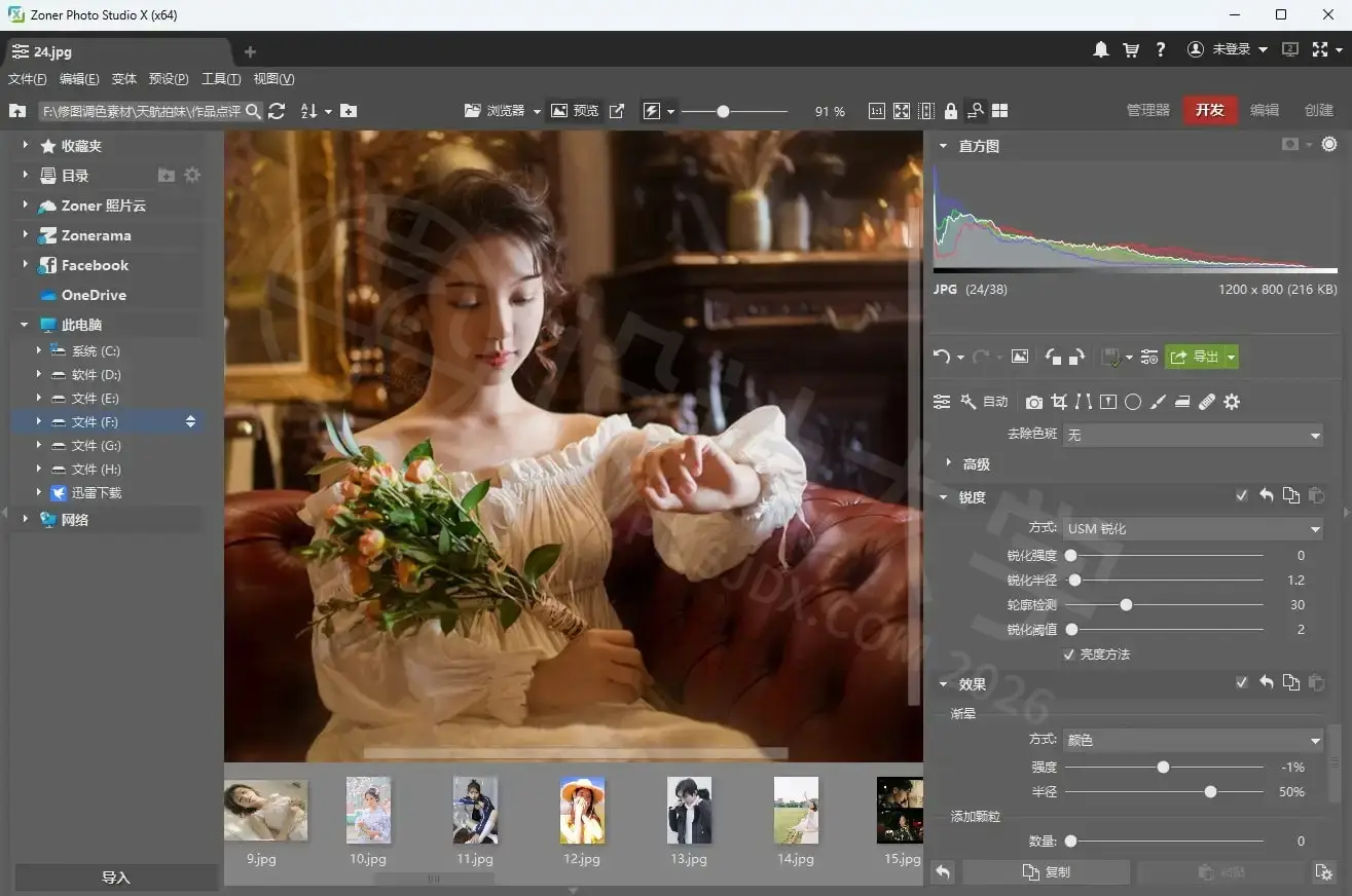 Zoner Photo Studio X 19