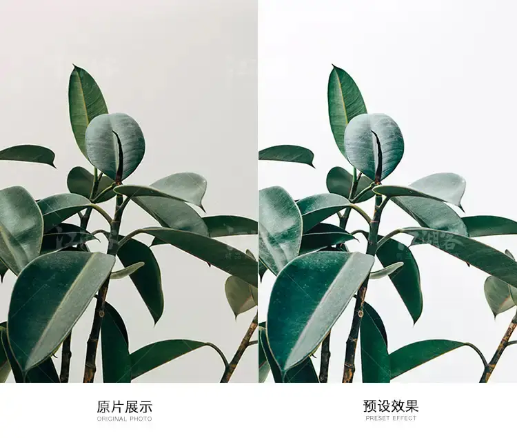 现代清新人像摄影后期户外调色预设滤镜