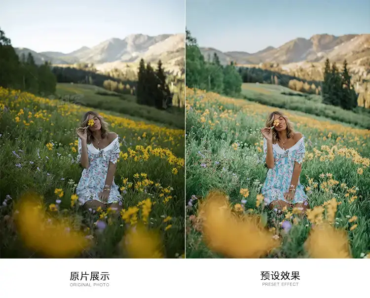 胶片人像网红风预设旅拍街拍调色滤镜