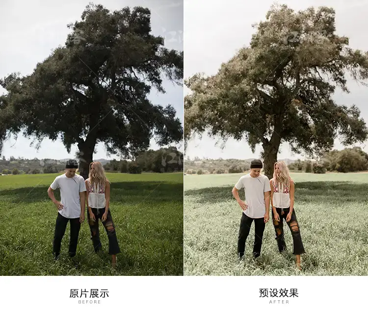 明亮奶油绿色调色电脑手机版滤镜 褪色低饱预设
