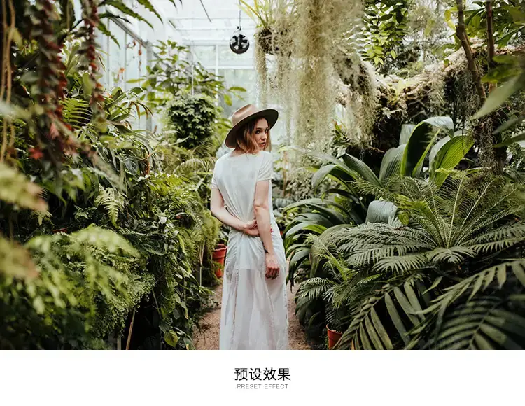 旅拍胶片人像色调手机版电脑滤镜LR预设