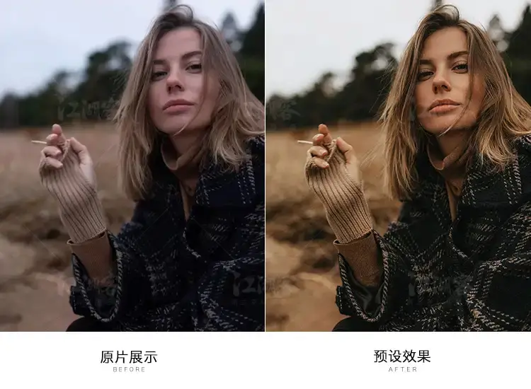 焦糖色调暖色 深棕咖啡旅拍人像调色lr预设
