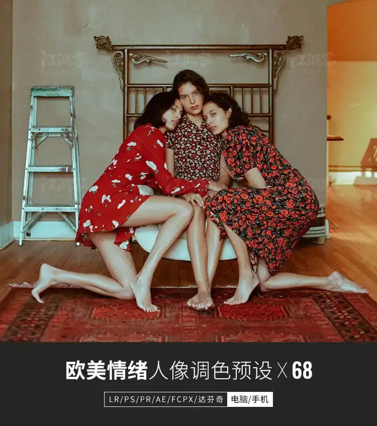 情绪胶片复古人像静物手机电脑版滤镜预设