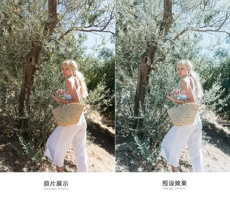 法国网红风人像旅拍街拍胶片调色滤镜LR预设