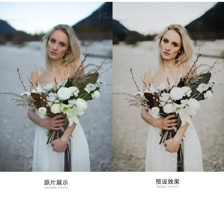 棕色人像手机版预设旅拍复古胶片lr调色