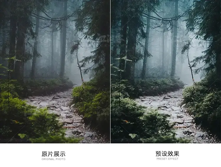 森系胶片调色LR预设滤镜手机版电脑