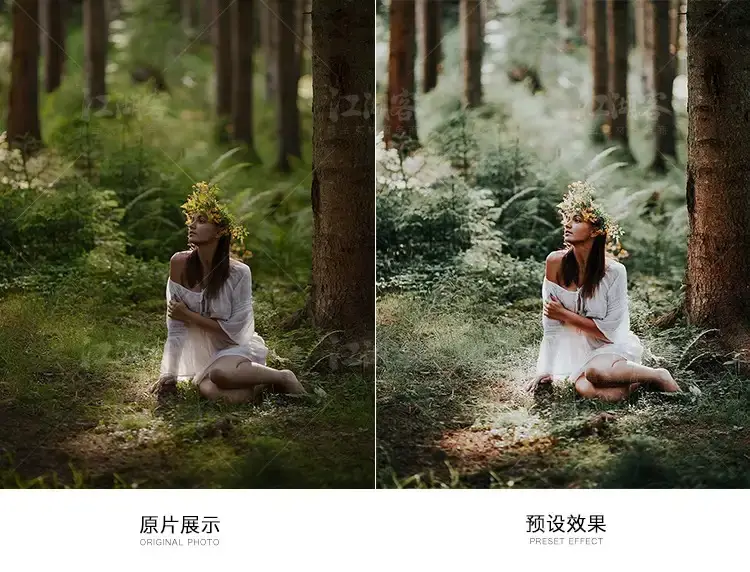 森系胶片调色LR预设滤镜手机版电脑