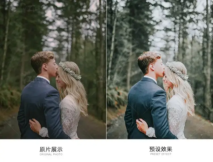 森系胶片调色LR预设滤镜手机版电脑