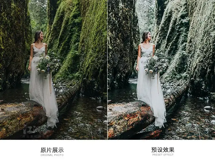 森系胶片调色LR预设滤镜手机版电脑