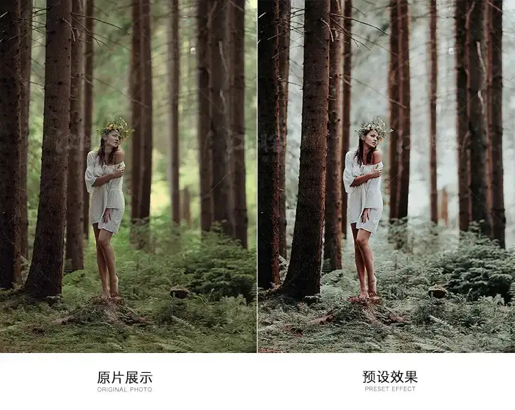 森系胶片调色LR预设滤镜手机版电脑