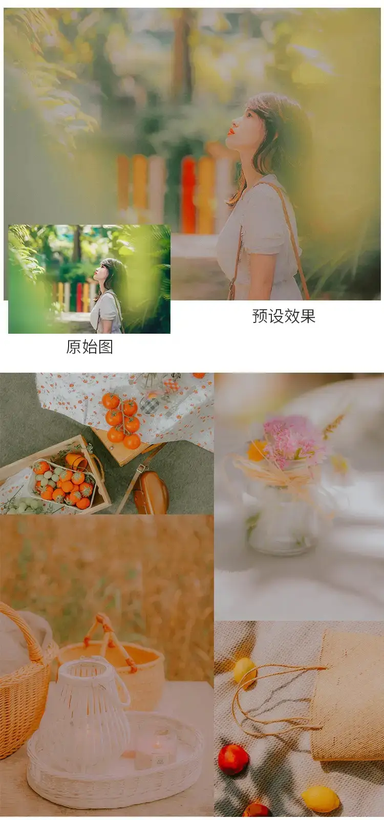 法式复古油画典雅浪漫朦胧野餐人像调色lr预设