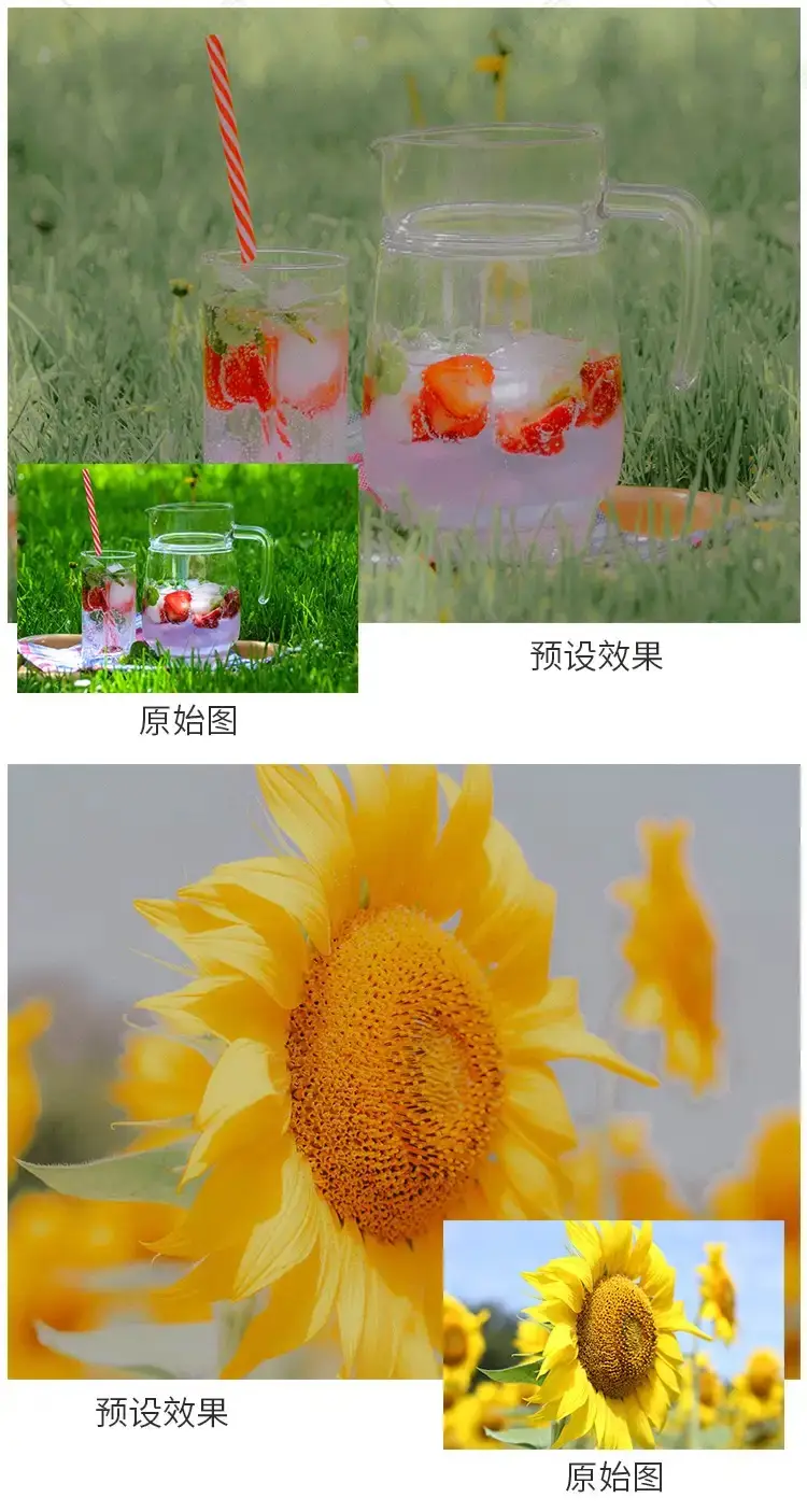 法式复古油画典雅浪漫朦胧野餐人像调色lr预设