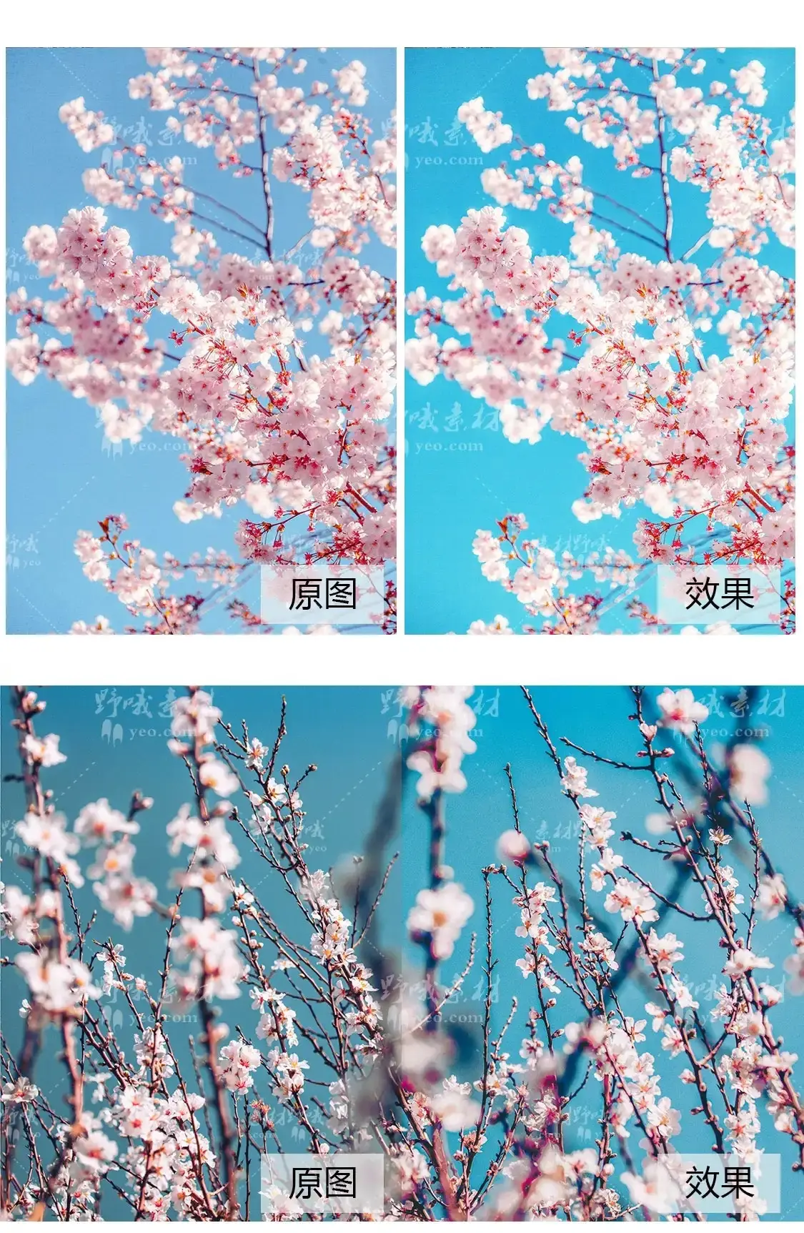 日系梦幻粉色樱花人像滤镜LUT调色LR预设