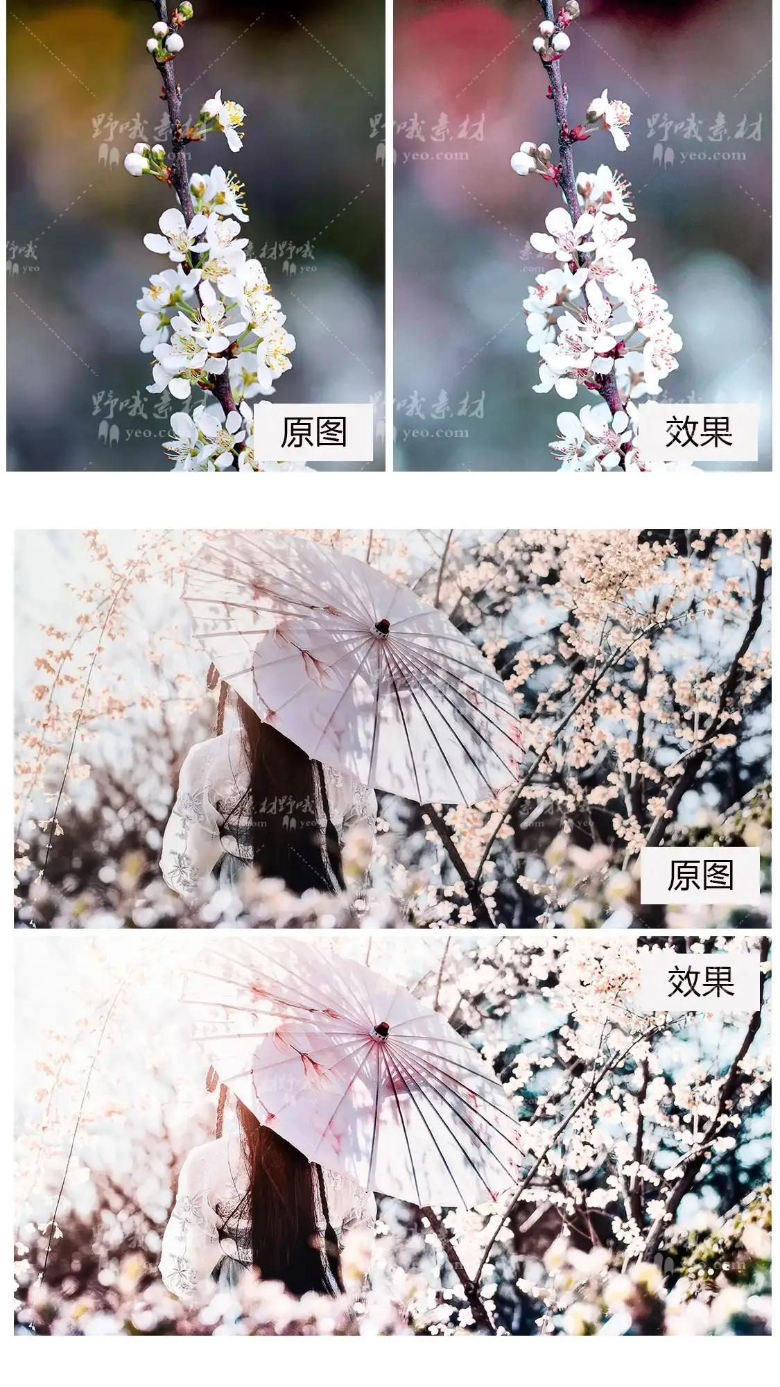 日系梦幻粉色樱花人像滤镜LUT调色LR预设