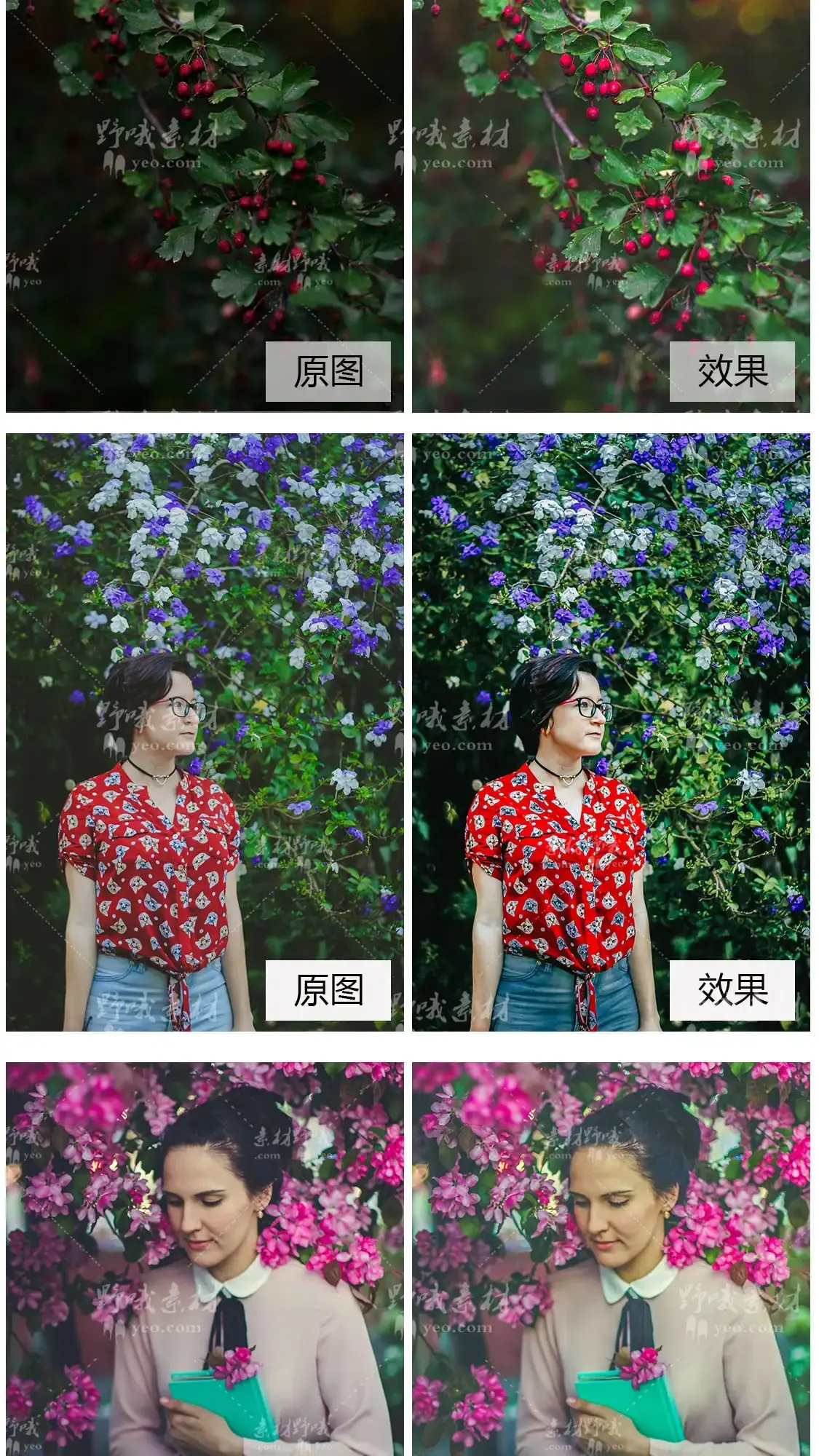 日系梦幻粉色樱花人像滤镜LUT调色LR预设