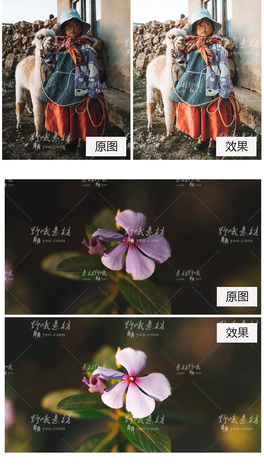 明亮清新ins室内通透滤镜LUT调色LR预设