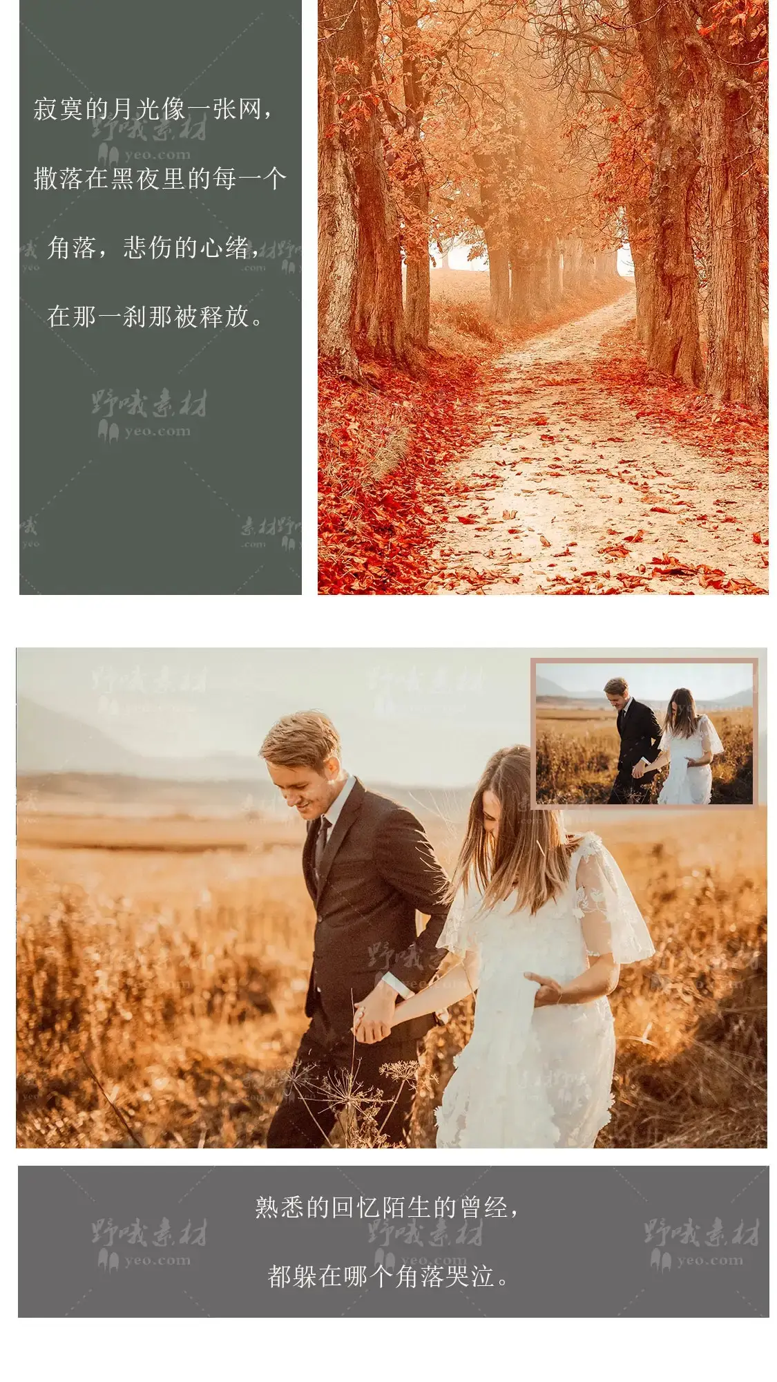 温暖风光旅拍婚礼滤镜LUT调色LR预设