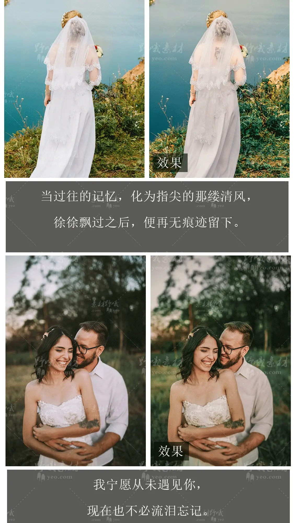 户外婚礼婚纱照写真森系人像摄影LUT预设LR调色