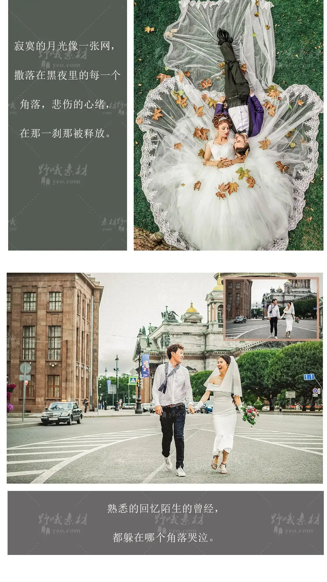 户外婚礼婚纱照写真森系人像摄影LUT预设LR调色