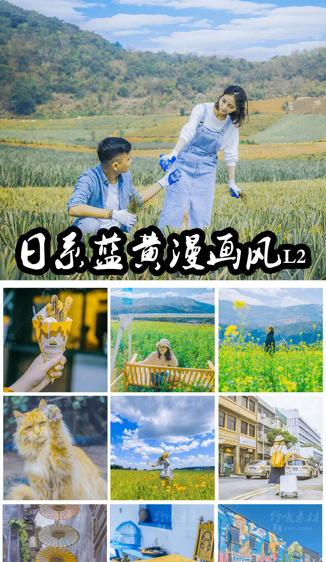 日系小清新蓝黄色调LR预设LUT调色