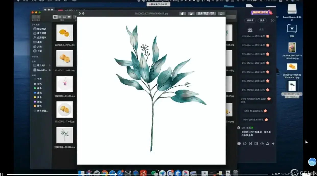 水彩水果花卉插画procreate基础教程