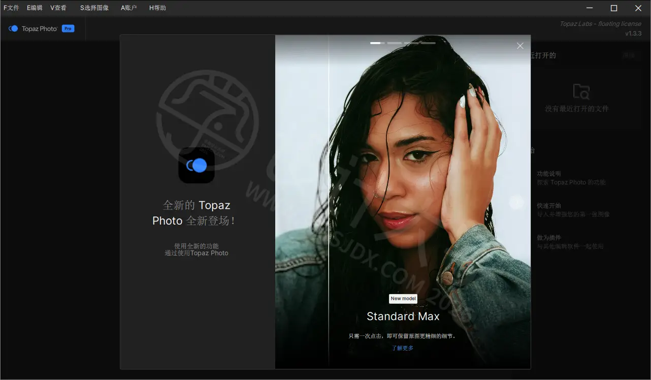 Topaz Photo 中文汉化版