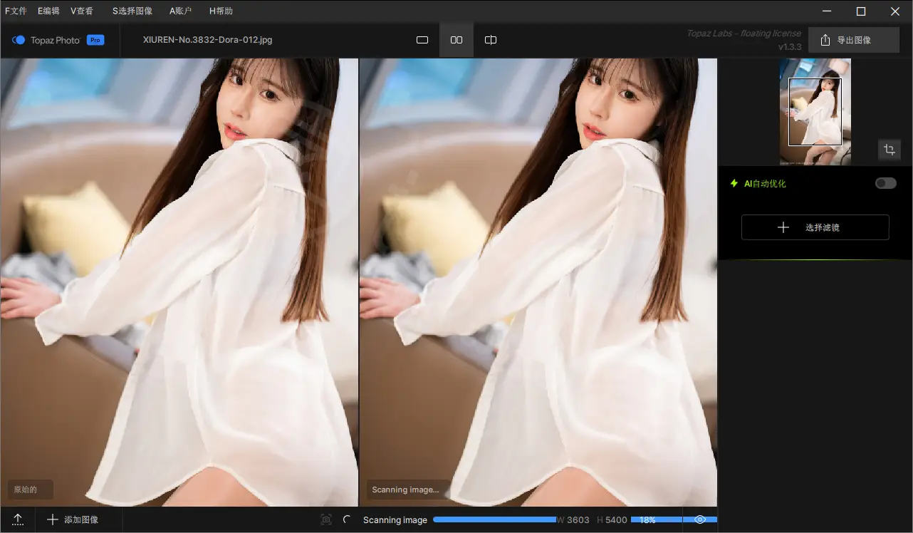 Topaz Photo 中文汉化版