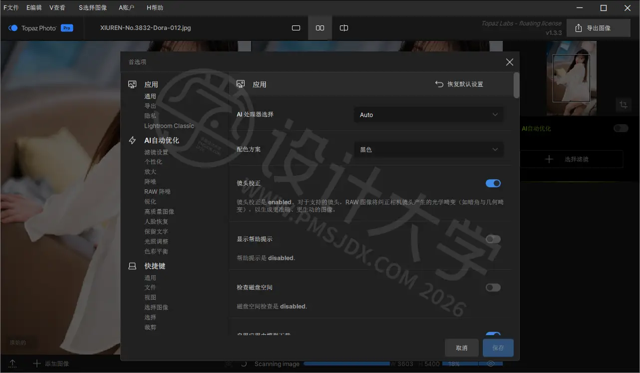 Topaz Photo 中文汉化版