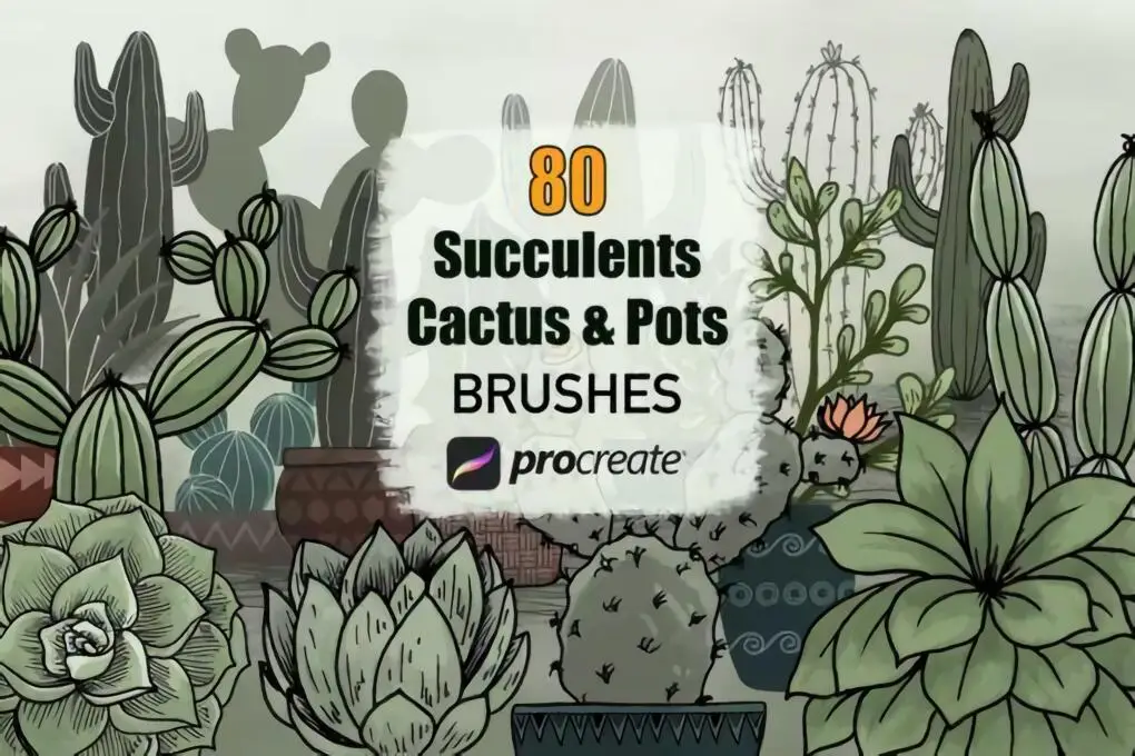 仙人掌多肉植物和花盆Procreate笔刷